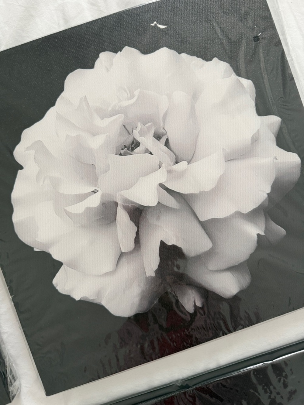 Black & White Floral Canvas Wall Art - Set of 4 - Picture 4 of 12